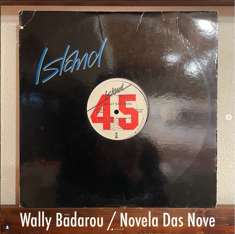 Wally Badarou / Novela Das Nove - 異国の風と幻影が交錯する…静かに