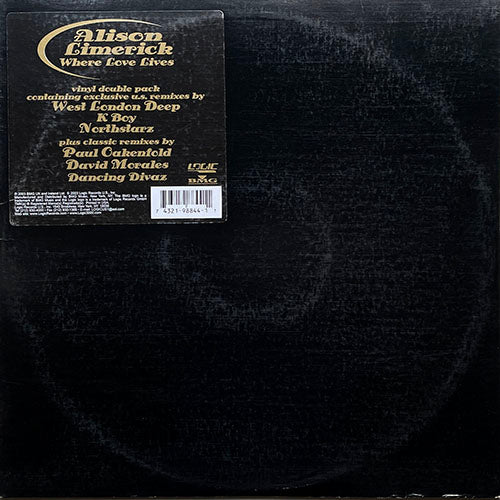 ALISON LIMERICK // WHERE LOVE LIVES (2003 REMIX) (6VER)