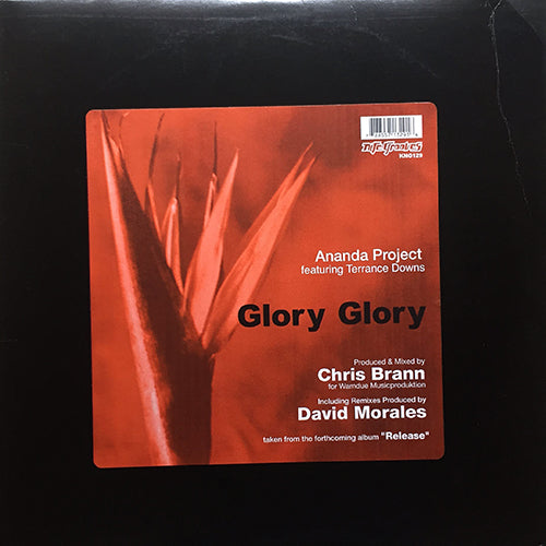 ANANDA PROJECT feat. TERRANCE DOWNS // GLORY GLORY (4VER)