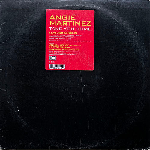 ANGIE MARTINEZ feat. KELIS // TAKE YOU HOME (4VER)