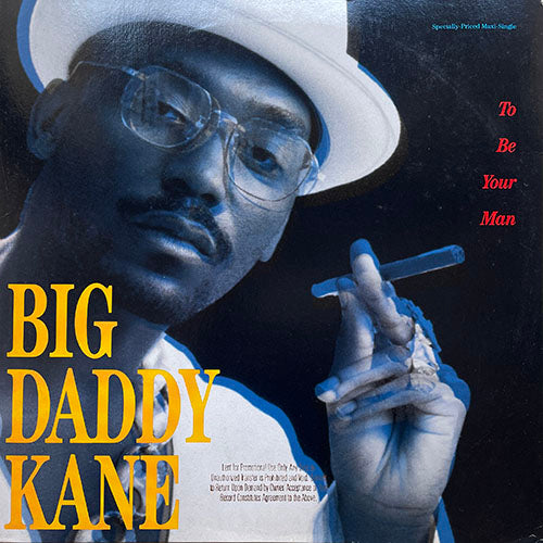 BIG DADDY KANE // TO BE YOUR MAN (2VER) / AIN'T NO STOPPIN' US NOW (2VER)