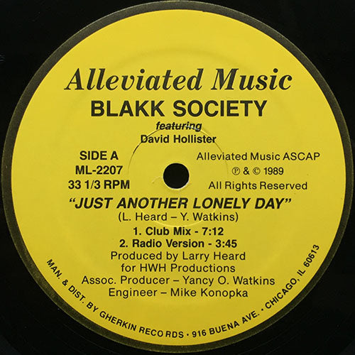 BLAKK SOCIETY feat. DAVID HOLLISTER // JUST ANOTHER LONELY DAY (4VER)