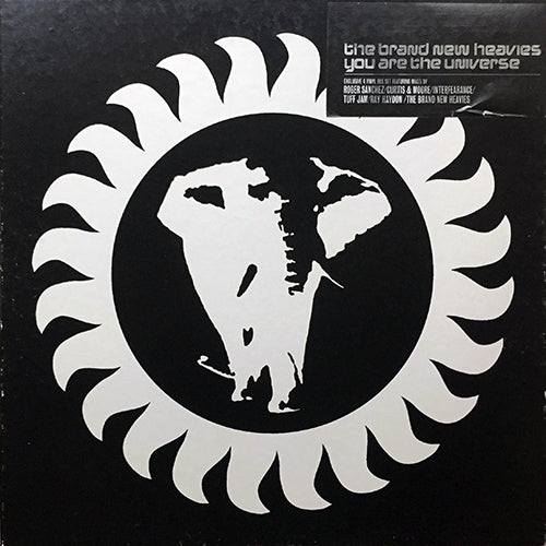 BRAND NEW HEAVIES // YOU ARE THE UNIVERSE (10VER)
