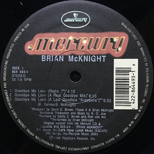BRIAN McKNIGHT // GOODBYE MY LOVE (5VER)