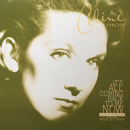 CELINE DION // IT'S ALL COMING BACK TO ME NOW (6VER)