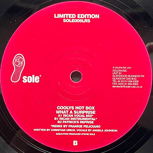 COOLY'S HOT BOX // WHAT A SURPRISE (FRANKIE FELICIANO REMIX) (3VER)