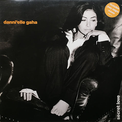 DANNI'ELLE GAHA // SECRET LOVE (6VER)