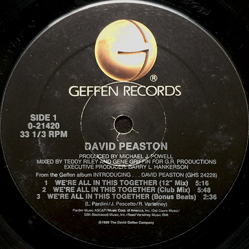 DAVID PEASTON // WE'RE ALL IN THIS TOGETHER (5VER) / DON'T SAY NO