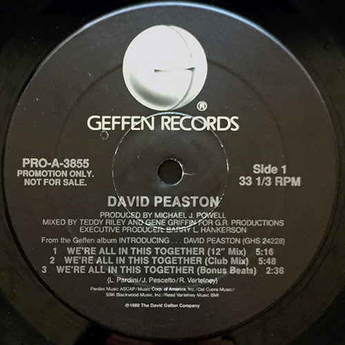 DAVID PEASTON // WE'RE ALL IN THIS TOGETHER (7VER)