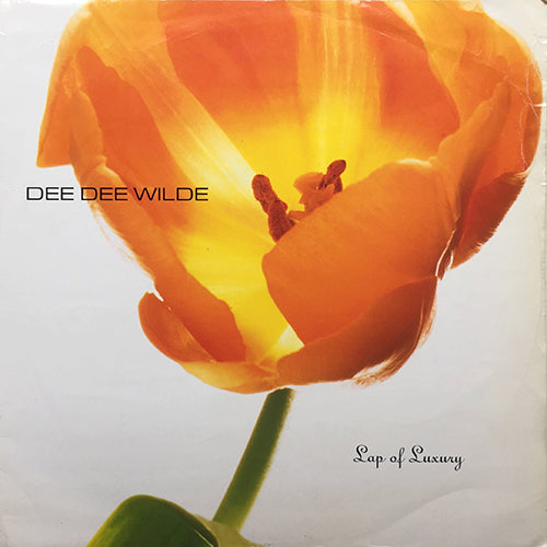 DEE DEE WILDE // LAP OF LUXURY (5:25/4:20) / I FOUND YOU (MIAMI MIX) (5:30)