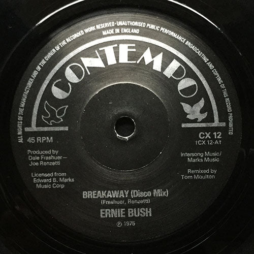 ERNIE BUSH / BANZAI // BREAKAWAY (DISCO MIX) / CHINESE KUNG FU