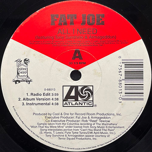 FAT JOE // ALL I NEED (3VER) / TAKE A LOOK AT MY LIFE (3VER)