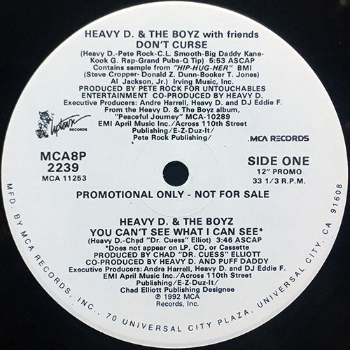 HEAVY D & THE BOYZ // DON'T CURSE (5:53) / YOU CAN'T SEE WHAT I CAN SEE (3:46)