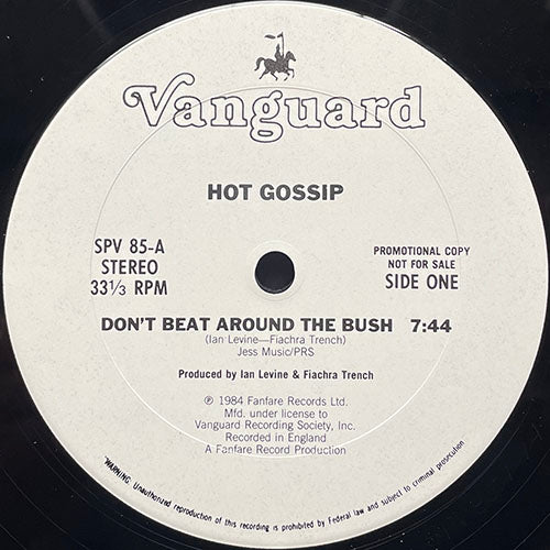 HOT GOSSIP // DON'T BEAT AROUND THE BUSH (7:44) / (DUB) (7:47) / (RADIO EDIT) (3:45)