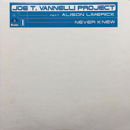 JOE T. VANNELLI PROJECT feat. ALISON LIMERICK // NEVER KNEW LOVE (JOE T. VANNELLI CLUB MIX) (7:05) / (JOE T. VANNELLI SLK MIX) (8:40)