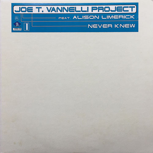 JOE T. VANNELLI PROJECT feat. ALISON LIMERICK // NEVER KNEW LOVE (JOE T. VANNELLI CLUB MIX) (7:05) /  (JOE T. VANNELLI SLK MIX) (8:40)