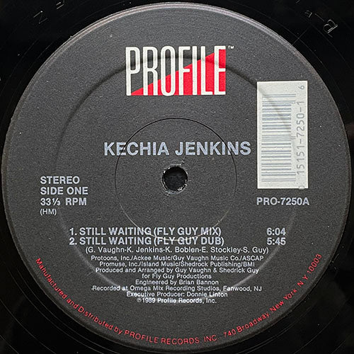 KECHIA JENKINS // STILL WAITING (5VER)