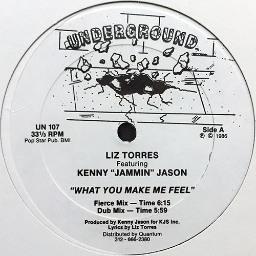 LIZ TORRES feat. KENNY "JAMIN" JASON // WHAT YOU MAKE ME FEEL (4VER)