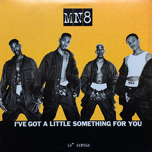 MN8 // I'VE GOT A LITTLE SOMETHING FOR YOU (TODD TERRY REMIX) (6VER)
