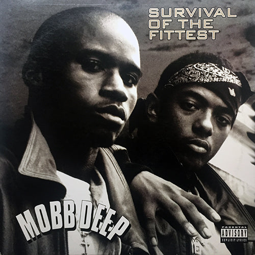 MOBB DEEP // SURVIVAL OF THE FITTEST (5VER)