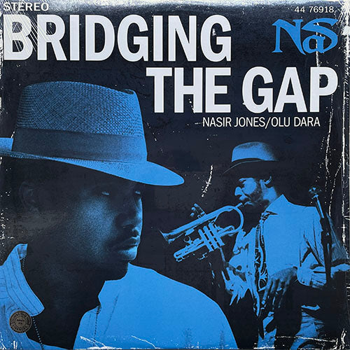 NAS // BRIDGING THE GAP (3VER)