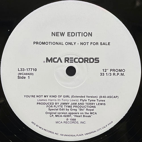 NEW EDITION // YOU'RE NOT MY KIND OF GIRL (5VER)