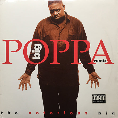 NOTORIOUS B.I.G. // BIG POPPA (REMIX) (5VER) / WHO SHOT YA (3VER) / WARNING
