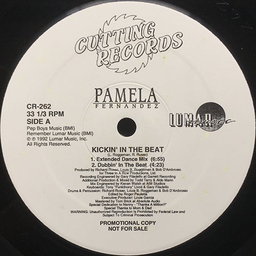 PAMELA FERNANDEZ // KICKIN' IN THE BEAT (5VER)