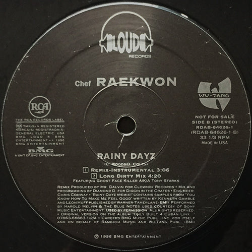 RAEKWON // RAINY DAYZ (4VER)