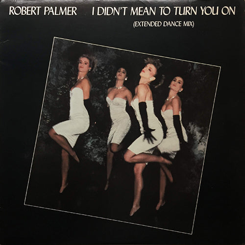 ROBERT PALMER // I DIDN'T MEAN TO TURN YOU ON (3VER) / ADDICTED TO LOVE