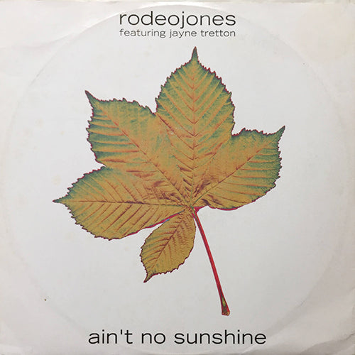 RODEO JONES feat. JAYNE TRETTON // AIN'T NO SUNSHINE / GET WISE / SURRENDER (2VER)