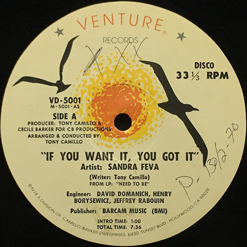 SANDRA FEVA // IF YOU WANT IT, YOU GOT IT (7:36) / LOVE TO BE YOUR WOMAN (6:20)