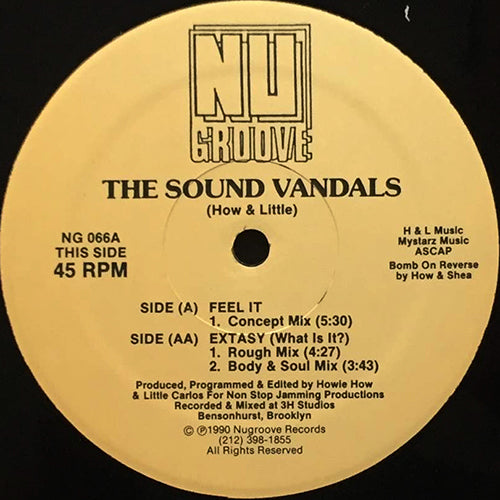 SOUND VANDALS // FEEL IT / EXTASY (WHAT IS IT?) (2VER)