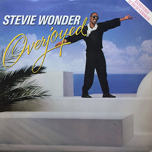 STEVIE WONDER // OVERJOYED (5:26/3:42) / INST (3:42)