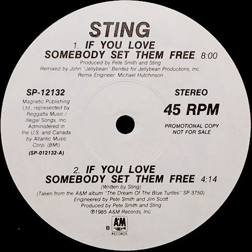 STING // IF YOU LOVE SOMEBODY SET THEM FREE (3VER) / ANOTHER DAY