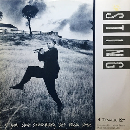 STING // IF YOU LOVE SOMEBODY SET THEM FREE (3VER) / ANOTHER DAY