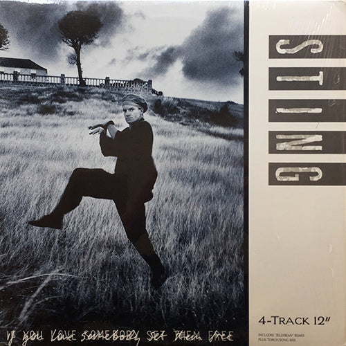 STING // IF YOU LOVE SOMEBODY SET THEM FREE (3VER) / ANOTHER DAY