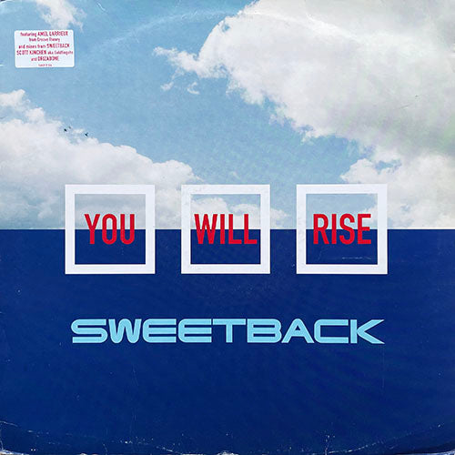 SWEETBACK feat. AMEL LARRIEUX // YOU WILL RISE (DRIZA BONE REMIX & ORIGINAL) (6VER)