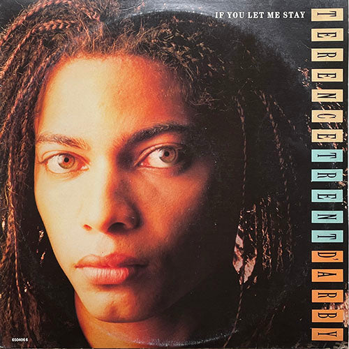 TERENCE TRENT D'ARBY // IF YOU LET ME STAY (REMIX) (6:03) / (HARDLINE MIX) (3:17) / LOVING YOU IS ANOTHER WORD FOR LONELY (2:22)