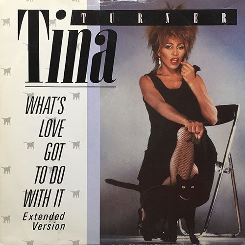 TINA TURNER // WHAT'S LOVE GOT TO DO WITH IT (EXTENDED VERSION) (5:45) / DON'T RUSH THE GOOD THINGS