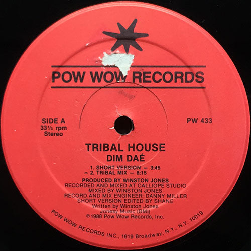 TRIBAL HOUSE // DIM DAE (3VER)