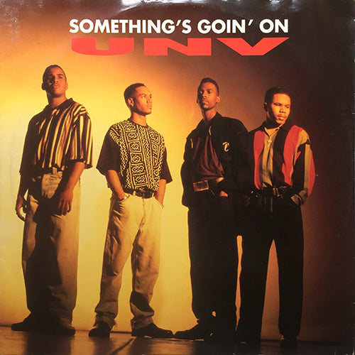 UNV // SOMETHING'S GOIN' ON (3VER) / FLIPSIDE
