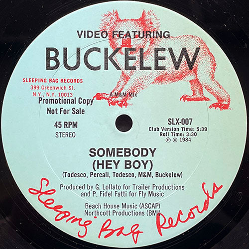 VIDEO feat. BUCKELEW // SOMEBODY (HEY BOY) (4VER)