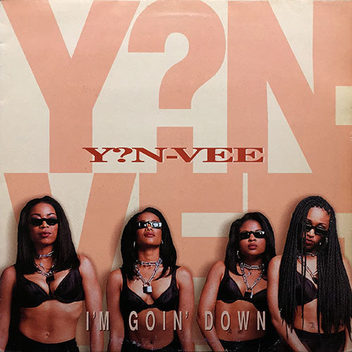 Y?N-VEE // I'M GOIN' DOWN (3VER) / TRICKS-N-TRAININ'