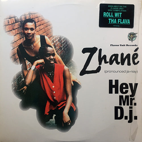 ZHANE // HEY MR. DJ (6VER)