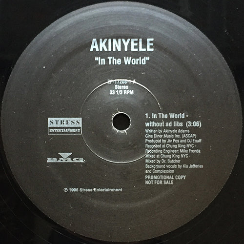 AKINYELE // IN THE WORLD (2VER)
