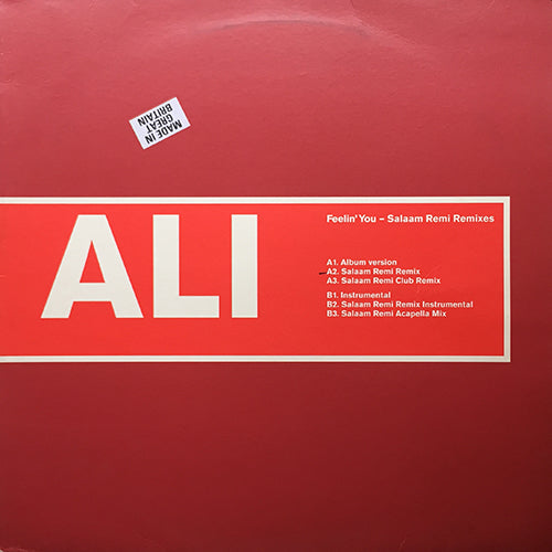 ALI // FEELIN YOU (SALAAM REMI REMIX & ALBUM VERSION) (6VER)