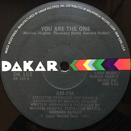 AM-FM // YOU ARE THE ONE (5:52) / INST (5:32)
