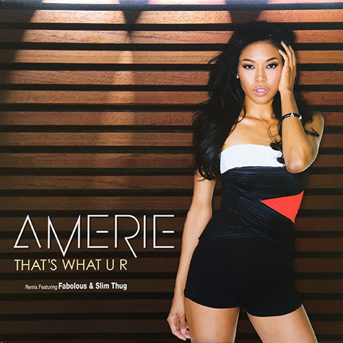 AMERIE feat. FABOLOUS & SLIM THUG // THAT'S WHAT U R (3VER) / SOME LIKE IT (3VER)