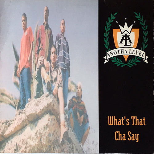 ANOTHA LEVEL // WHAT'S THAT CHA SAY (3VER) / PHATT-T